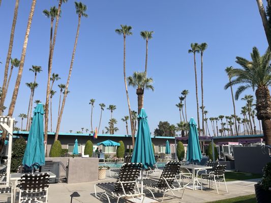Inndulge Palm Springs by null