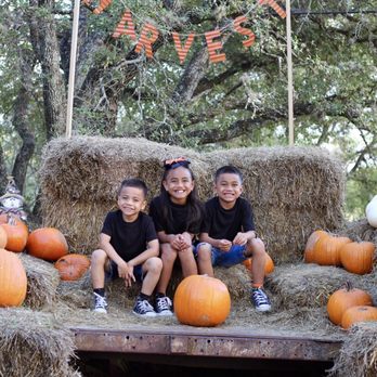 Bracken Pumpkin Patch - 2018 Pumpkin Patch - Pumpkin Patches Near Me - San Antonio, Texas