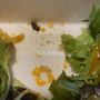 Photo of Franks Pizza & Chicken