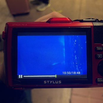 Dive Maui - Saw a comp pod with about 13 whales, as well as a mother and calf! It was the best thing I've done on any of the Hawaiian islands. 10/10. - Scuba Diving Near Me - Lahaina, Hawaii Dive Maui - Saw a comp pod with about 13 whales, as well as a mother and calf! It was the best thing I've done on any of the Hawaiian islands. 10/10. - Scuba Diving Near Me - Lahaina, Hawaii