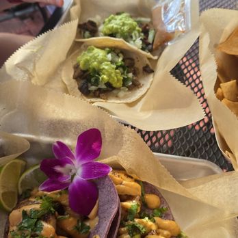 Jimmy's Tacos - Tacos Near Me - Tampa, Florida Jimmy's Tacos - Tacos Near Me - Tampa, Florida