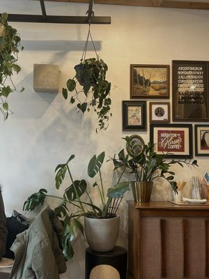 Glasser Coffee Co. by null