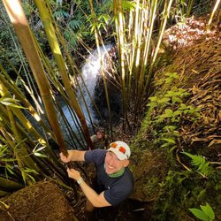 Awapuhi Adventures - Bamboo Forest, Hana