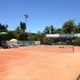 Wimbelemdon