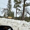 Recreation Point Group Use Area gift card