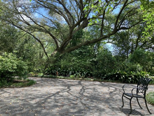 Bellingrath Gardens & Home by null