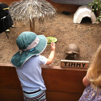 Wild Wonders - Zoos Near Me - Bonsall, California Wild Wonders - Zoos Near Me - Bonsall, California