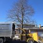 Elite Tree Services