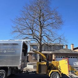Elite Tree Services