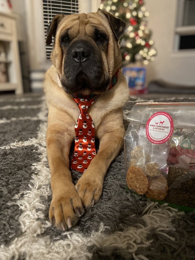 WOOF GANG BAKERY & GROOMING CLEARWATER 132 Photos & 107 Reviews