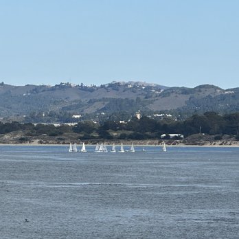 The Fish Hopper - The view from my table. - Seafood Near Me - Monterey, California