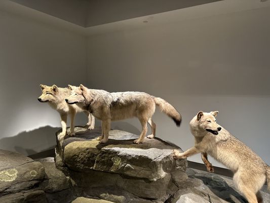 Mashantucket Pequot Museum & Research Center by null