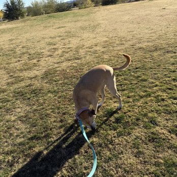 Cougar Creek Park - Lots of grass! 11.23.2025 - Parks Near Me - Las Vegas, Nevada Cougar Creek Park - Lots of grass! 11.23.2025 - Parks Near Me - Las Vegas, Nevada