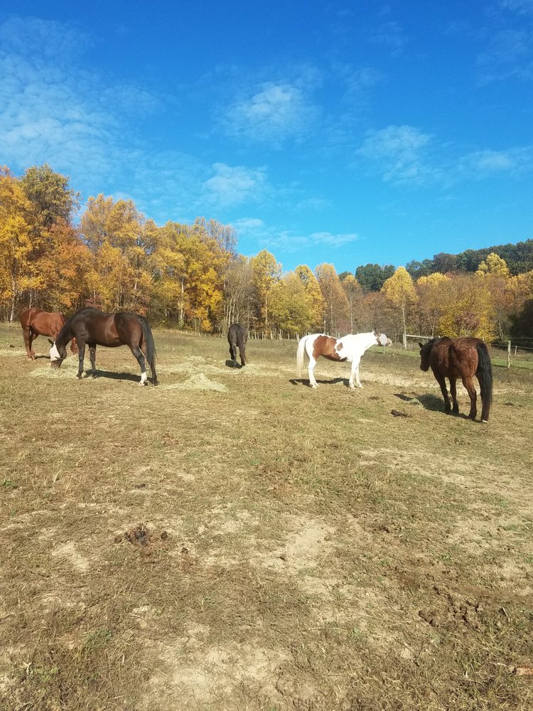 HITCH’N POST STABLES Updated August 2024 603 Upper Middletown Rd