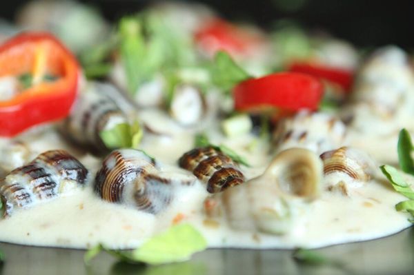 Sáu Can Tho Vietnamese Kitchen by null