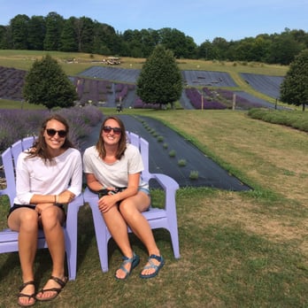 Lavender Hill Farm - Even purple chairs! - Venues & Event Spaces Near Me - Boyne City, Michigan Lavender Hill Farm - Even purple chairs! - Venues & Event Spaces Near Me - Boyne City, Michigan