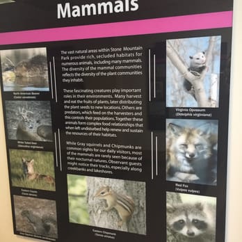 Stone Mountain Park - Informational exhibits adjacent to snack shop - Parks Near Me - Stone Mountain, Georgia