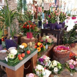 Blumen Bock - Herbstimpressionen