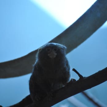 Lincoln Children's Zoo - Amusement Parks Near Me - Lincoln, Nebraska