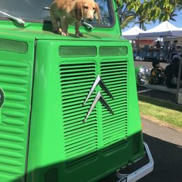a dog standing on the hood of a green truck