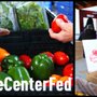 Photo of White Center Food Bank