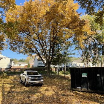 Dixon Tree Service - Trimmed trees - Tree Services Near Me