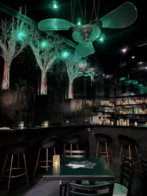 Bartini by null