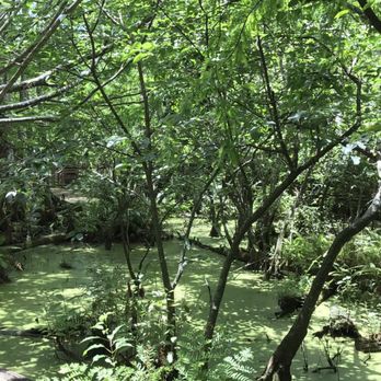 Busch Wildlife Sanctuary - Zoos Near Me - Jupiter, Florida Busch Wildlife Sanctuary - Zoos Near Me - Jupiter, Florida