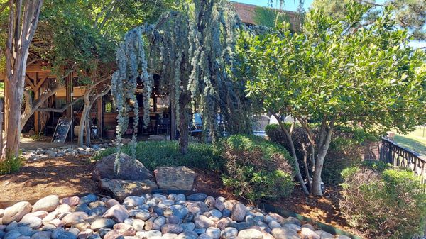 Bellini's Ristorante & Grill by null