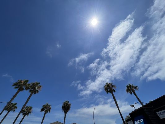 Ambrogio15 Pacific Beach by null