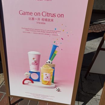 Molly Tea - Bubble Tea Near Me - San Mateo, California Molly Tea - Bubble Tea Near Me - San Mateo, California