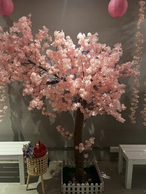 Yunomori Onsen & Spa by null