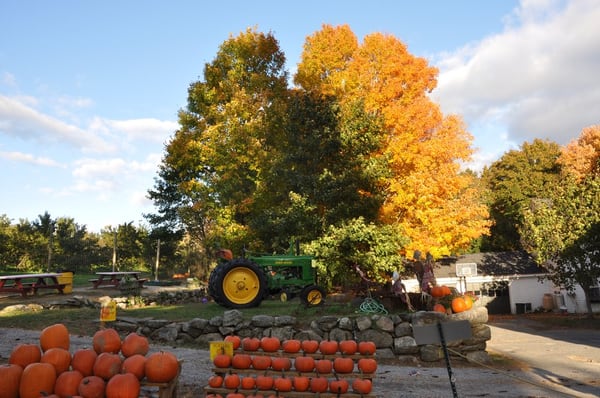 Shelburne Farm by null