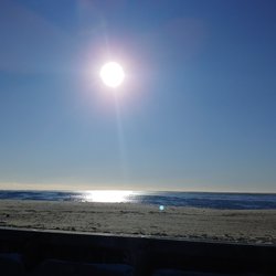 Martha Murray Vacation Rentals - Relax on the beach in Cape Cod.
