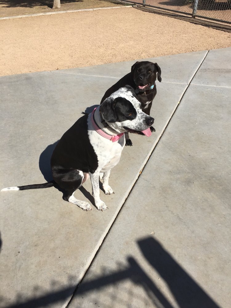 PASEO VISTA DOG PARK Updated October 2024 14 Photos & 13 Reviews