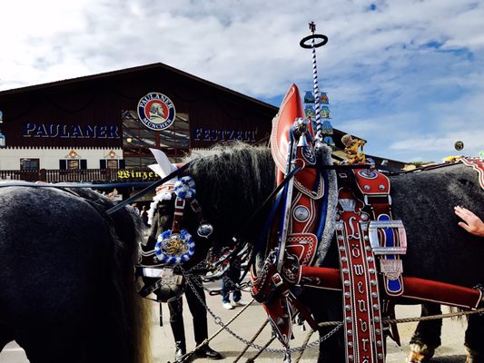 Paulaner Festzelt by null