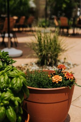 Naive Latin Inspired Kitchen + Bar by null