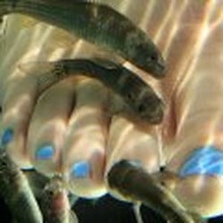 Fisch spa