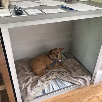Paws on Pelham - Dog bed - Hotels Near Me - Newport, Rhode Island Paws on Pelham - Dog bed - Hotels Near Me - Newport, Rhode Island