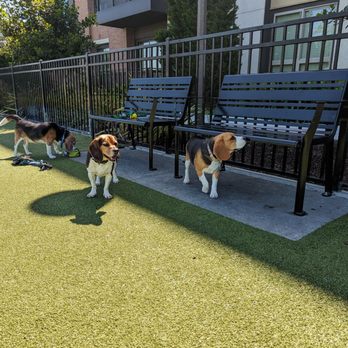 Cannery Park - Playgrounds Near Me - San Jose, California