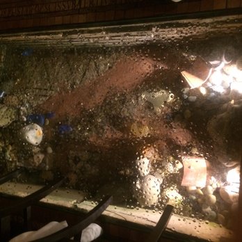 Osteria dell'Oca - Roman Near Me - Rome, RM