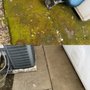 Photo of J&S PressureWashing & Property Services 