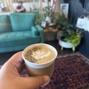 Fleurs & Events - Lavender Latte - Florists Near Me - Florence, Kentucky