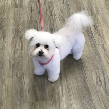 Nature's Pet - Pet Stores Near Me - Salem, Oregon Nature's Pet - Pet Stores Near Me - Salem, Oregon