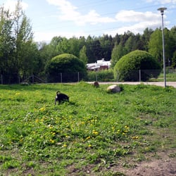 Kilon koirapuisto