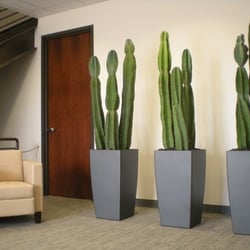 The Potted Plant