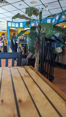 Our Crepes & More... by null