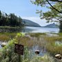 Photo of Pedego Electric Bikes Bar Harbor