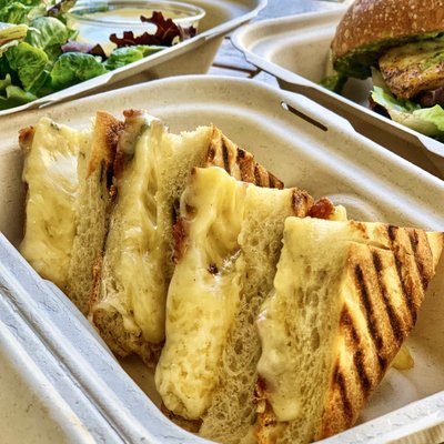 Hog Island Larkspur by null