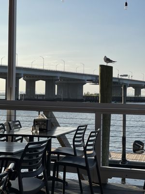 Bungalow Bar by null